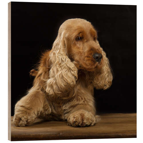 Cuadro de madera Cocker Spaniel I