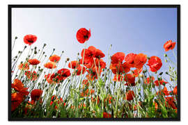 Gerahmter Kunstdruck Mohnblumen