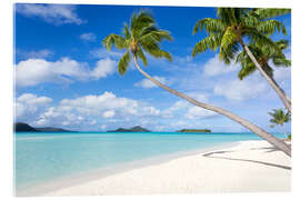 Akrylglastavla  White beach with palm trees, Tahiti, French Polynesia - Jan Christopher Becke