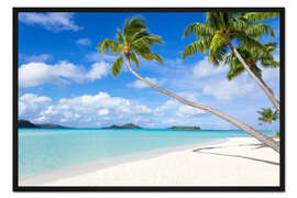 Gerahmter Kunstdruck Weißer Strand mit Palmen, Tahiti, Französisch Polynesien