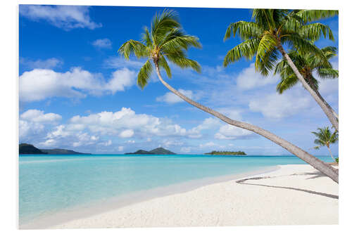 PVC print White beach with palm trees, Tahiti, French Polynesia