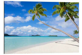 Magnettafel Weißer Strand mit Palmen, Tahiti, Französisch Polynesien