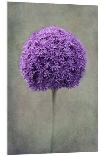 Quadro em PVC Allium