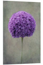 Tableau en PVC Allium