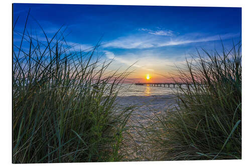 Aluminium print Schönberger beach Baltic dune