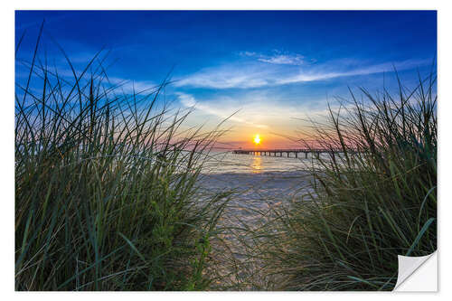 Naklejka na ścianę Schönberger beach Baltic dune