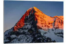 Quadro em plexi-alumínio Eiger mountain peak at sunset  View from Lauberhorn, kleine Scheidegg, Grindelwald, Switzerland