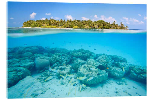 Acrylic print Reef and tropical island, Maldives