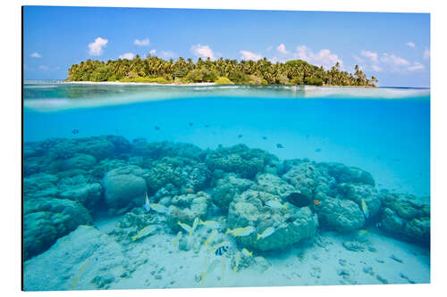 Aluminiumsbilde Reef and tropical island, Maldives