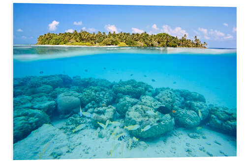 Tableau en PVC Récif et île tropicale, Maldives