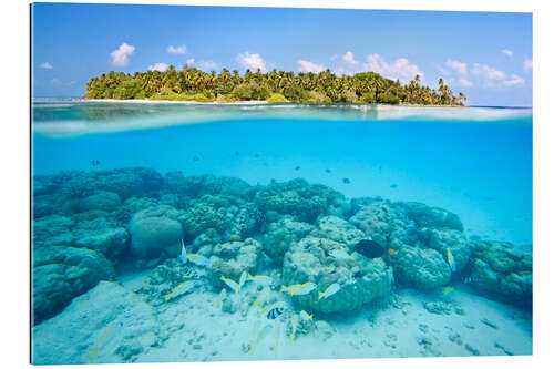 Gallery print Reef and tropical island, Maldives