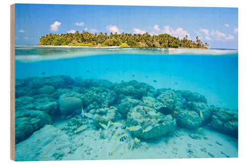 Quadro de madeira Reef and tropical island, Maldives