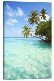 Quadro em tela  Turquoise sea and palm trees, Maldives - Matteo Colombo
