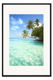 Gerahmter Kunstdruck Türkises Meer und Palmen, Malediven