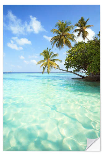 Vinilo para la pared Turquoise sea and palm trees, Maldives