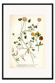 Gerahmter Kunstdruck Hasen-Klee