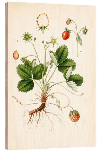 Tableau en bois Fraises