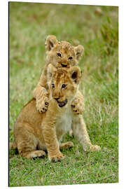 Magnettafel Spielende Löwenkinder