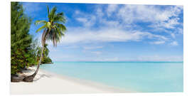 PVC print Palm beach panorama in Tahiti, French Polynesia