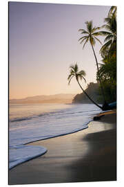 Aluminium print Surf at a palm beach, Costa Rica