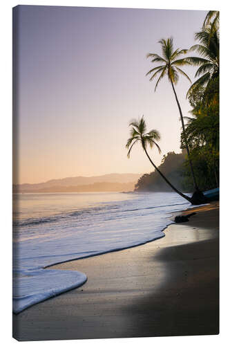 Canvastavla Surf at a palm beach, Costa Rica