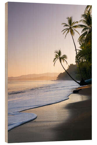 Wood print Surf at a palm beach, Costa Rica