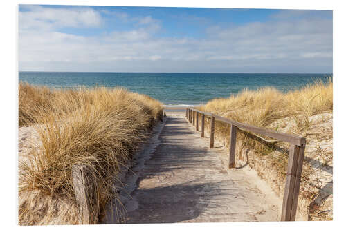 Foam board print Way to the beach on the Baltic Sea