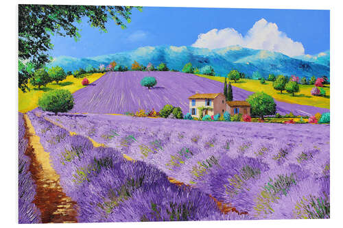 Foam board print Lavenders under sunshine