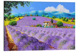 Magnettafel Lavendel unter Sonnenschein