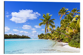 Alumiinitaulu Beautiful of One Foot Island, Cook Islands