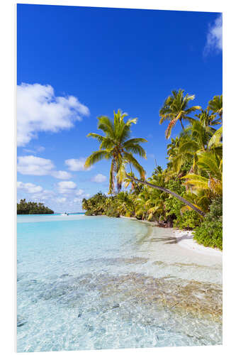 Foam board print Beautiful tropical beach with palms, One Foot Island, Cook Islands, Pacific