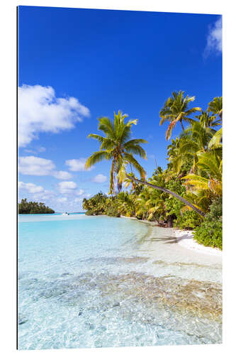 Tableau en plexi-alu Belle plage tropicale avec palmiers, Îles Cook, Pacifique