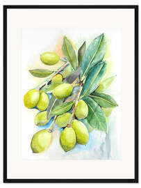 Gerahmter Kunstdruck OLiven 2