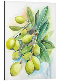 Magnettafel OLiven 2