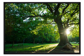 Gerahmter Kunstdruck Morgen in der Heide
