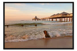 Gerahmter Kunstdruck Abendstimmung in Heringsdorf