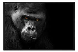 Gerahmter Kunstdruck Gorillagesicht