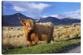 Lærredsbillede  Highland Cattle - Patrick Dieudonne