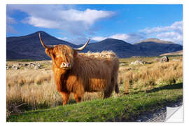 Naklejka na ścianę Highland Cattle