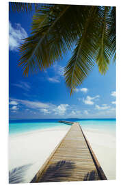 Foam board print Jetty, Maldives