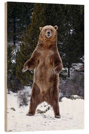 Holzbild Grizzlybär im Schnee