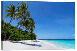 Lærredsbillede  Deserted palm beach, Maldives - Martin Child