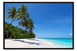 Gerahmter Kunstdruck Palmenstrand auf den Malediven
