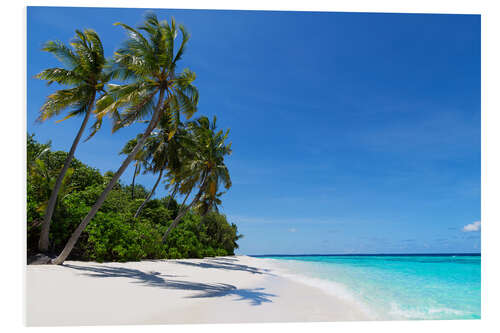 Foam board print Deserted palm beach, Maldives