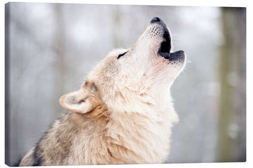 Canvas-taulu Wolf howling in the forest