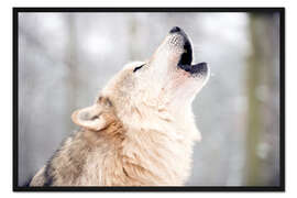 Gerahmter Kunstdruck Heulender Wolf im Winterwald