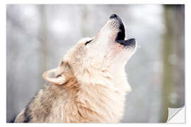 Naklejka na ścianę Wolf howling in the forest