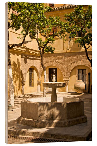 Wood print Terrace with fountain in Seville