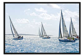 Gerahmter Kunstdruck Segelregatta