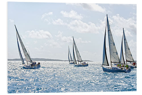 Foam board print Sailboat regattas